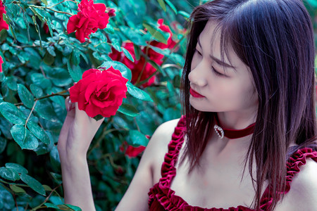 美国20个州起诉特朗普政府